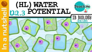 (D2.3) - Water Potential [In A Nutshell] - IB Biology (SL/HL)