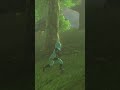Breath Of The Wild Is *STILL* Good In 2025... #shorts #botw