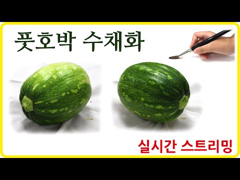 기초수채화 풋호박 실시간스트리밍