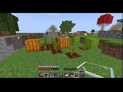 Intento de explicar mi ausencia y de tour por mi casita de minecraft