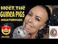 Meet the Guinea Pigs Walkthrough December 2020!