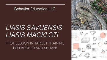 Liasis: First Lessons