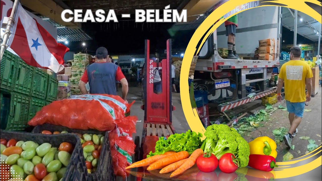 Ceasa: O Mercado De Belém Que Nunca Dorme 