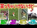 ついつい何度も見てしまう競馬の面白い場面…に対するみんなの反応！【競馬 の反応集】