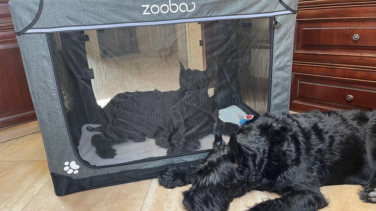 Image showcasing Ultimate Portable Dog Kennel Review: Travel in Comfort and Style! - YouTube