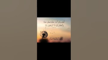 القارئ إدريس أبكر - سورة المؤمنون -  من الآية 115 إلى الآية 116