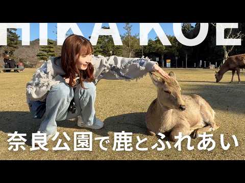 【オフVlog】大荒れの奈良観光!? 鹿にビビる卓球女子たちの克服大作戦🦌💥｜Nara Trip! Table Tennis Girls vs. Deers!