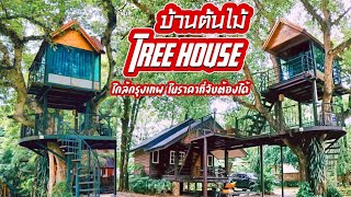 tree house accommodation #Rimtarn Resort Nakhon Nayok Province(@zcamp6845 )