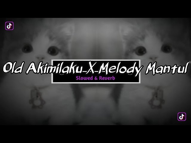 DJ Old Akimilaku X Melody Mantul - Slowed & Reverb 🎶 class=