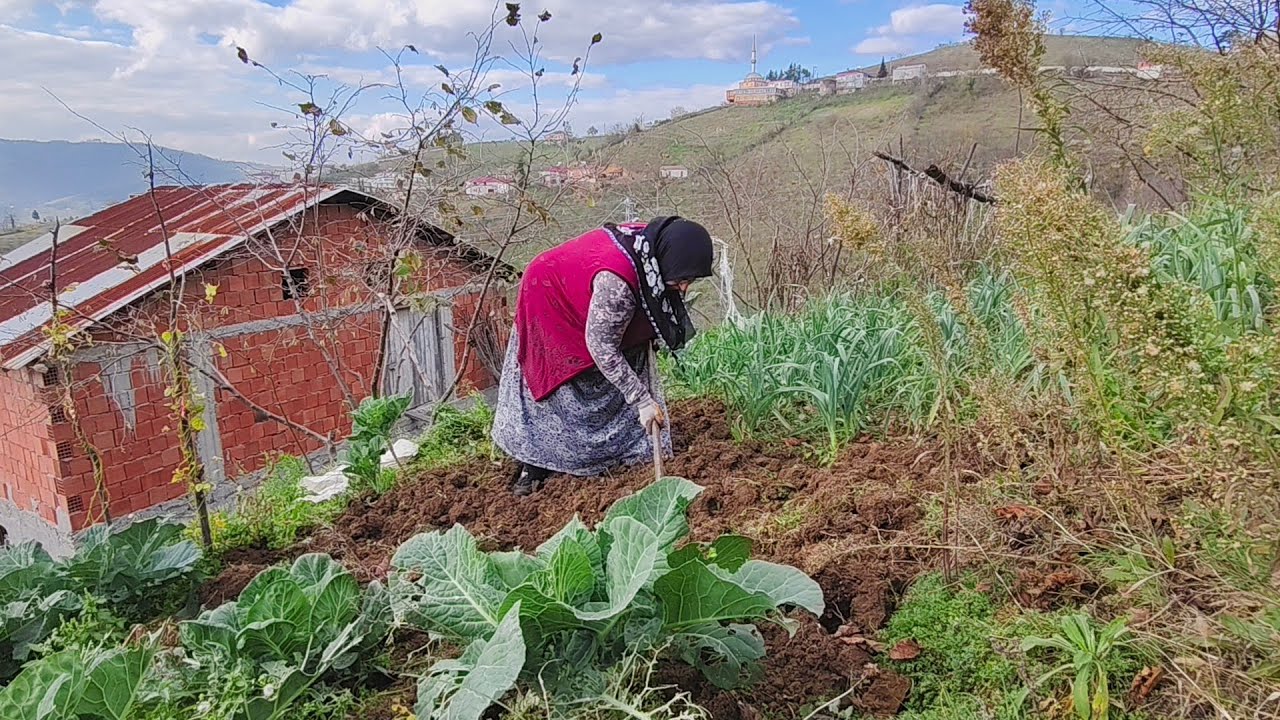 🧄Sarımsak Yeri Hazırlığı ve Dikimi 🌱 | Doğal Köy Yaşamı & Bahçe İşleri