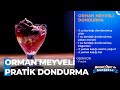 Orman Meyveli Dondurma Tarifi - Memet Özer ile Mutfakta 400. Bölüm