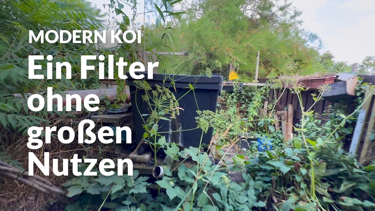 Ekkis 18 Jahre alter Filter | Modern Koi Blog #7967