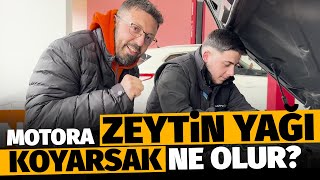 MOTORA ZEYTİN YAĞI KOYARSAK NE OLUR? | Motor Yağları Hakkında Bilmeniz Gereken Her Şey!