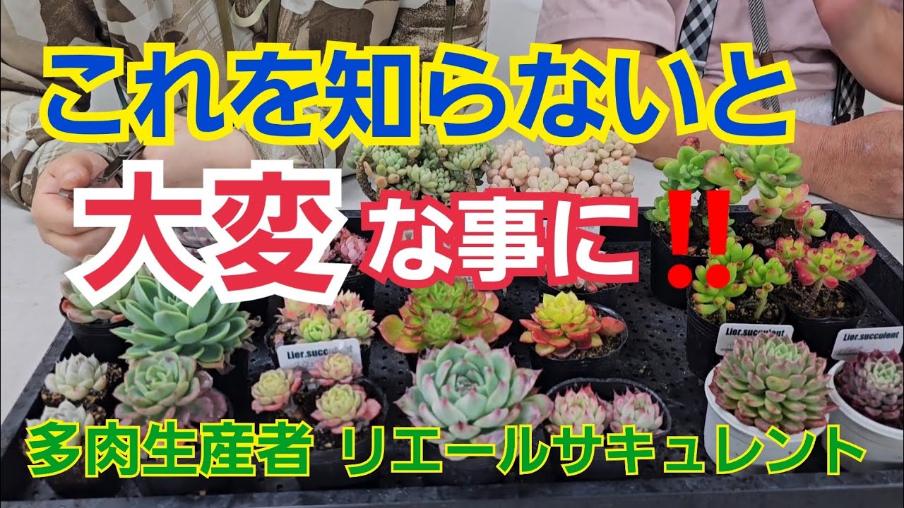 気学】気学宗家 園田眞次郎「家相奥傳講義」6冊 気学】気学宗家 園田眞次郎「家相奥傳講義」6冊