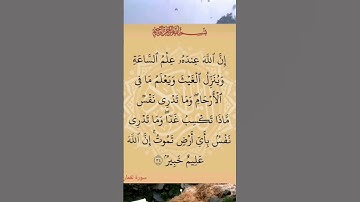 القرآن الكريم سورة لقمان