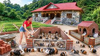 Building A Creative Red Brick House 🧱 For Hundreds Of Guinea Pigs