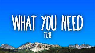 Tems - What You Need