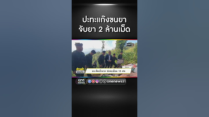 ฉก.ทัพเจ้าตาก ปะทะเดือดขบวนขนยา 15 ศพ | สำนักข่าววันนิวส์