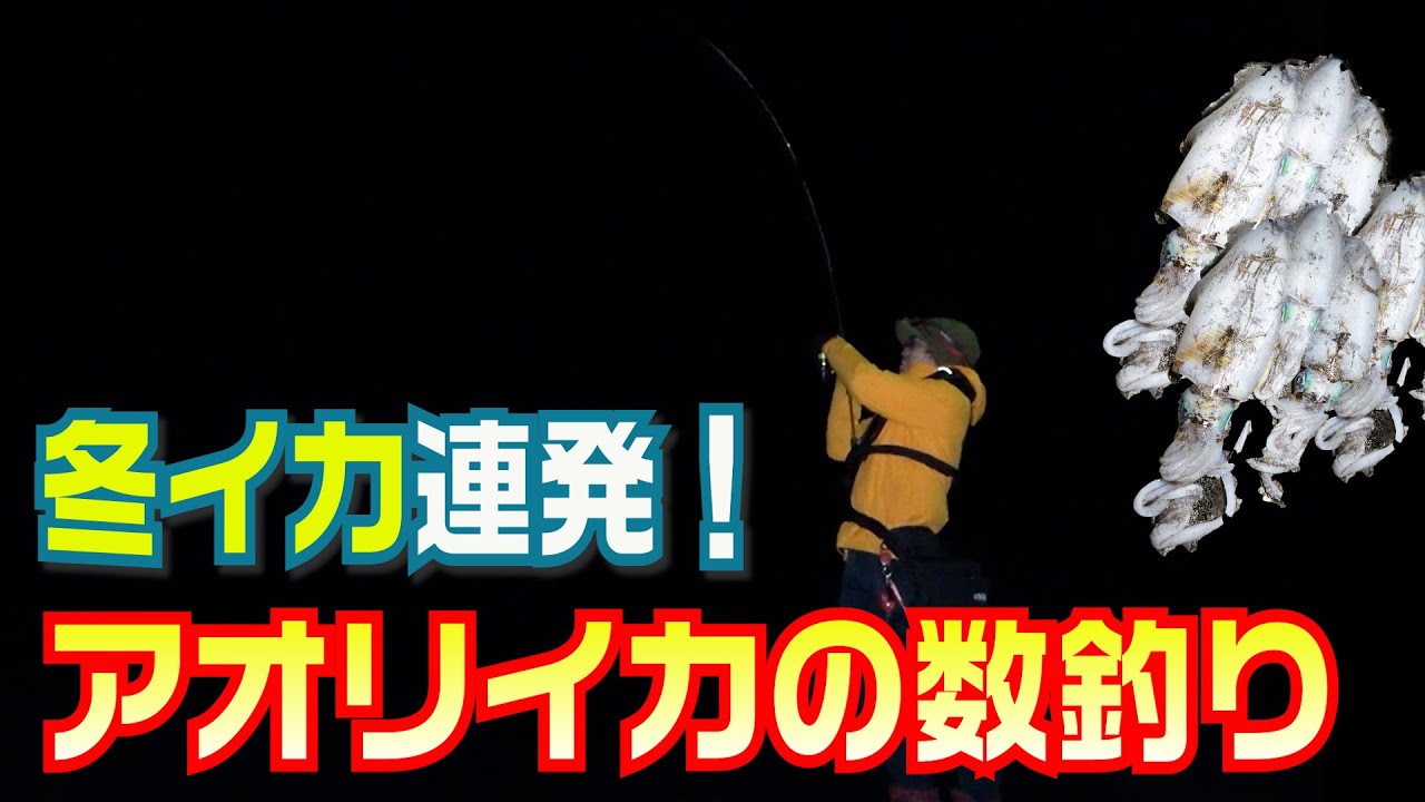 エギング 冬イカ連発 潮の変化で釣れる 夜の堤防で軍艦投げてアオリイカの数釣り Youtube