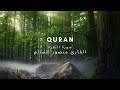 سورة البقرة كامله للشيخ منصور السالم مناظر طبيعية      