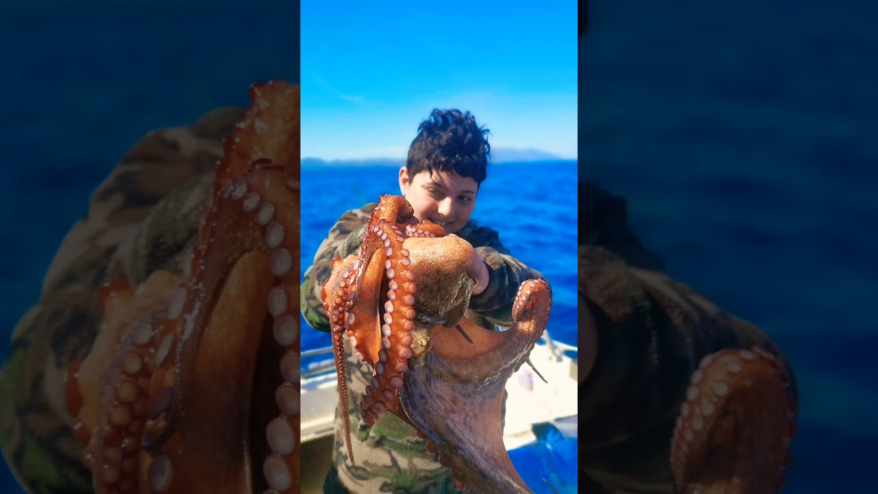 Polpo piccolo vs polpo gigante!