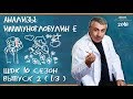 Анализ на иммуноглобулины: подготовка к анализу, расшифровка