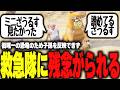 【ストグラ】ミニザウルスが生まれないことを救急隊に残念がられるザウルス【柳瀬つん/つんザウルス/切り抜き】