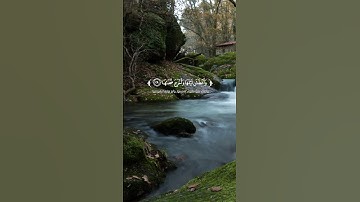 من سورة النازعات #قرآن #اكسبلور #قران_كريم #رعد_الكردي  #explore