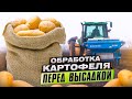 ПОСАДКА КАРТОФЕЛЯ. Обработка картофеля ПЕРЕД посадкой. Выращивание БЕЗВИРУСНОГО семенного картофеля