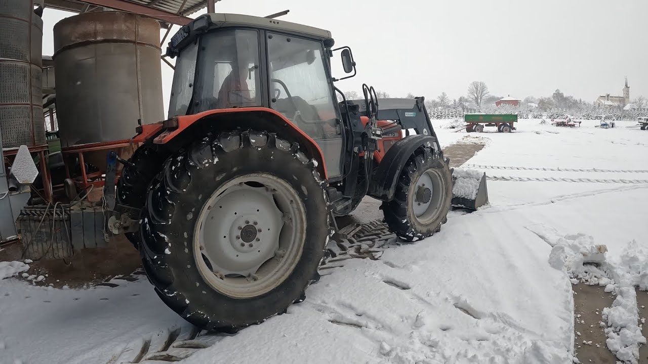 Suszenie kukurydzy w zimie 🥶🥶 | Żniwa kukurydziane 2025 🌽🌽