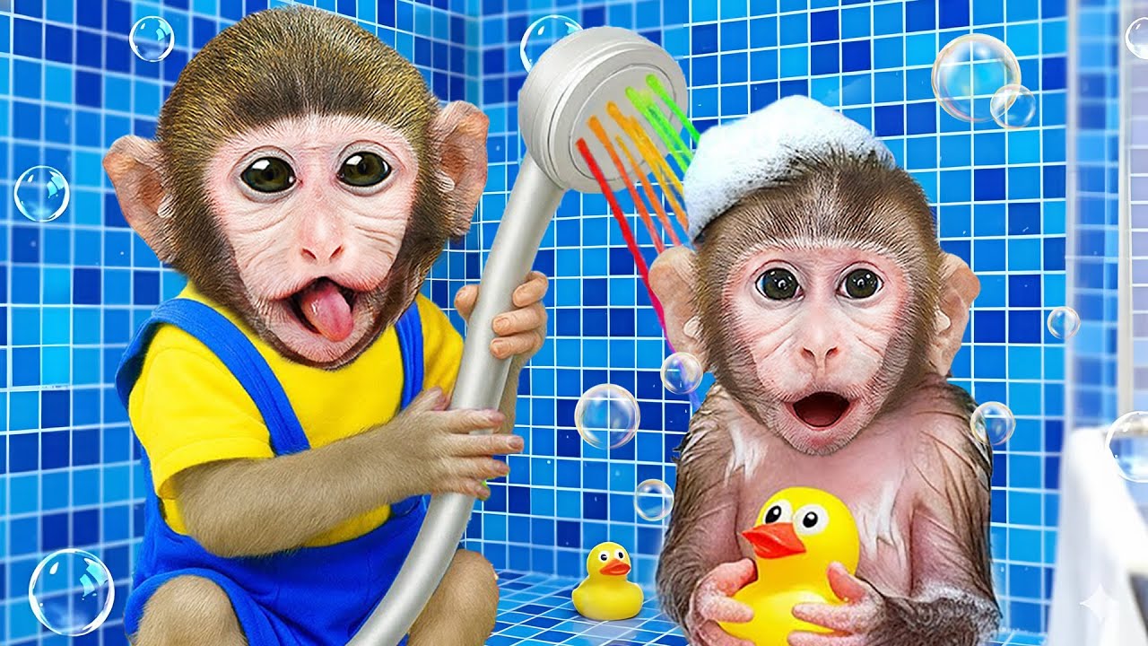 Mono MoMo prepara huevos fritos y dulces de frutas arcoíris con un mono bebé en casa | MONO MOMO ESP