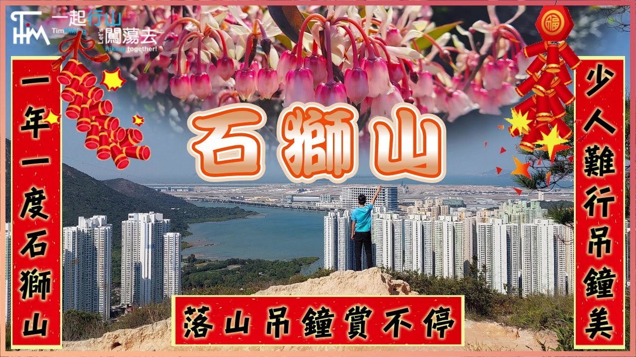 【輕鬆快閃行山】石獅山🥀吊鐘花 | 一年一度石獅山 少人難行吊鐘美 落山吊鐘賞不停 | 絕對不比大枕蓋少 | TimHiking