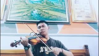 we Will not go down violin cover
