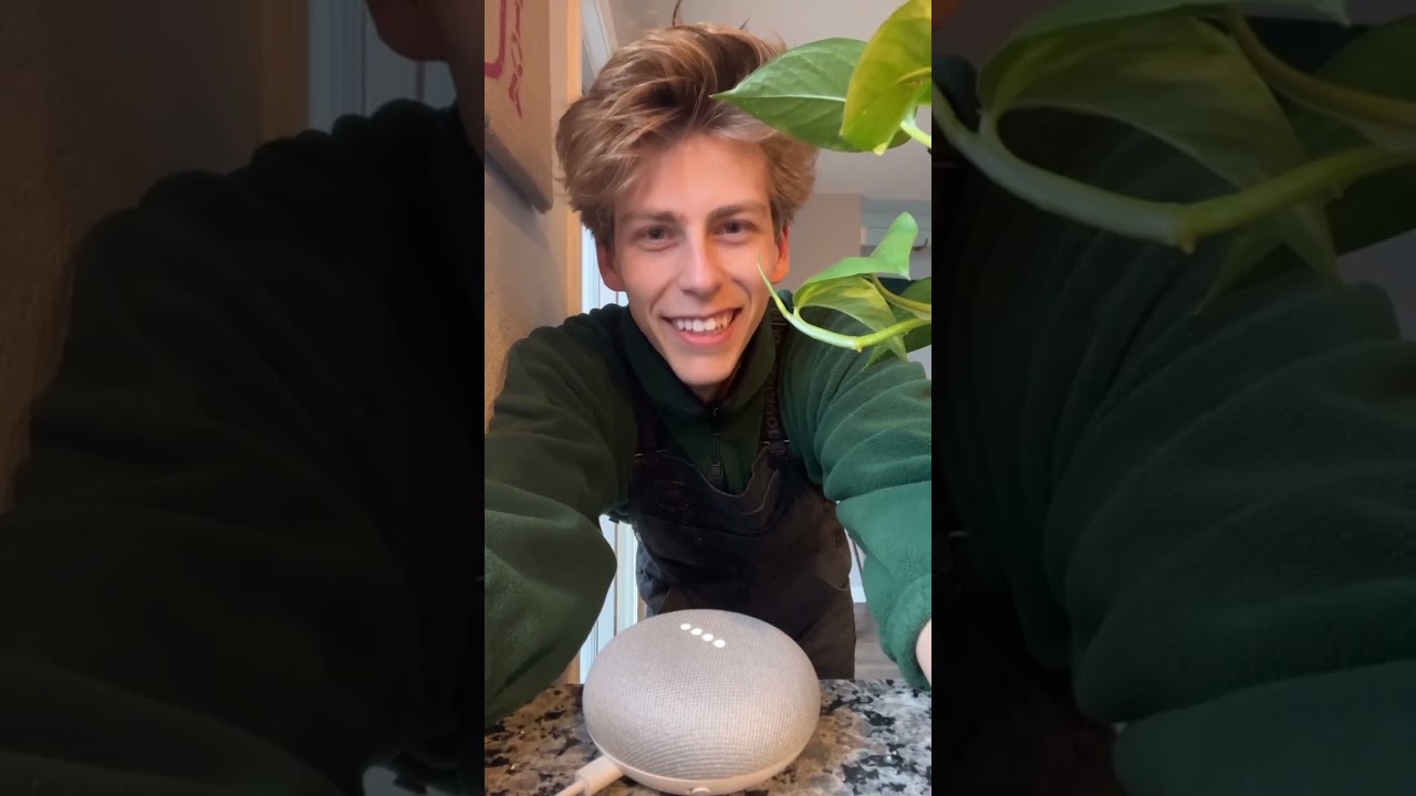 Does Google Respond to Other Names Besides Google?