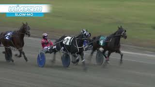 Cdp 2024 November 03 R06