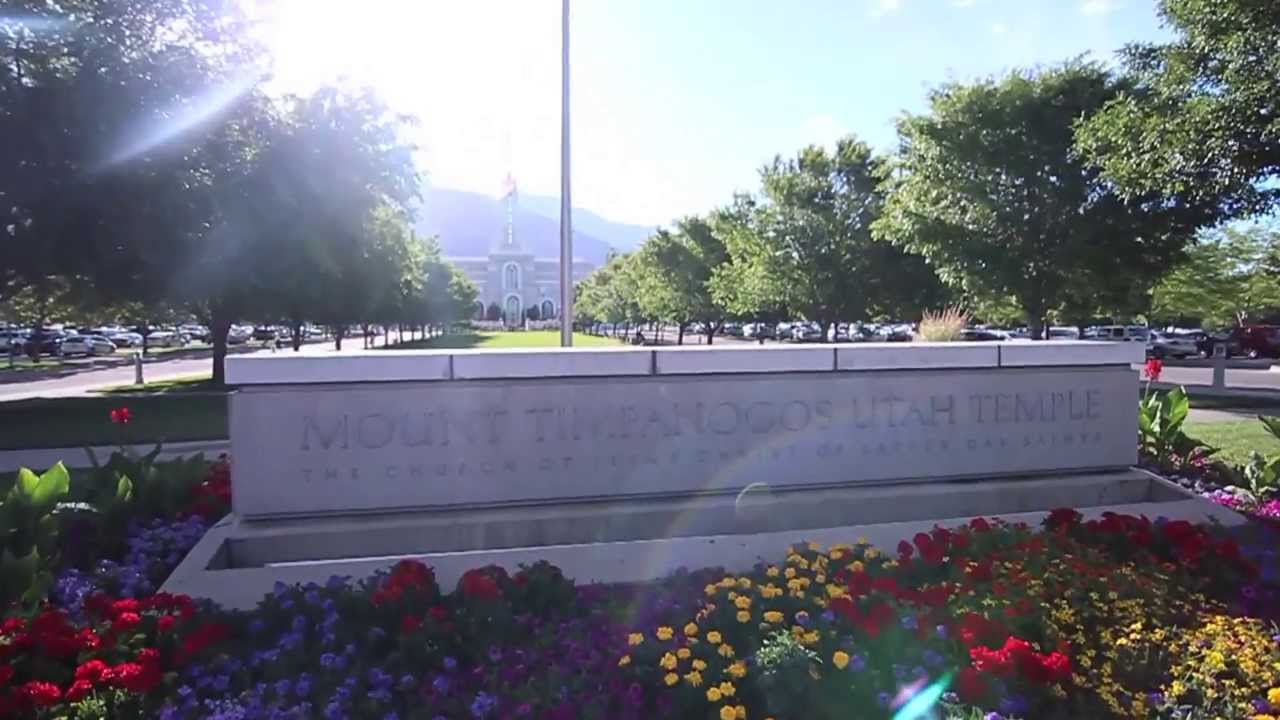 Dizzy Ape Wedding Video Sample