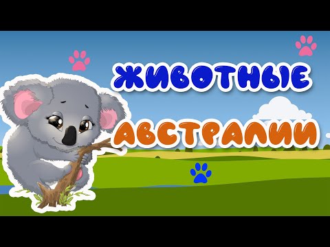 УЧИМ ЖИВОТНЫХ АВСТРАЛИИ)