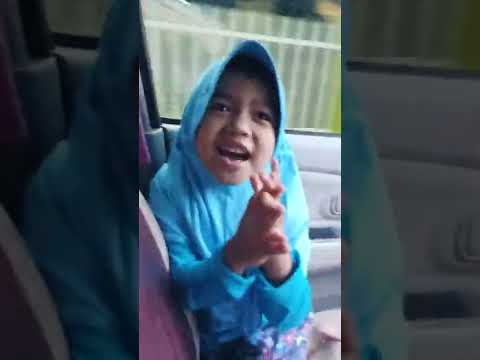 Dinosaurus - Shorts - Lagu Anak Indonesia - Lagu Binatang Lucu