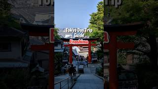 Go on an easy day trip from Tokyo 🗼