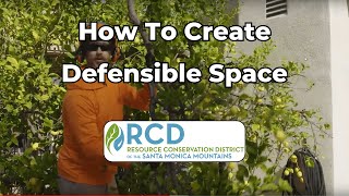 How to Create Proper Defensible Space