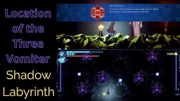 getting esp puck spark shadow labyrinth