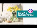 Дома с Евангелием 08.04.20 - "Книга пророка Амоса", Геннадий Пшеничный