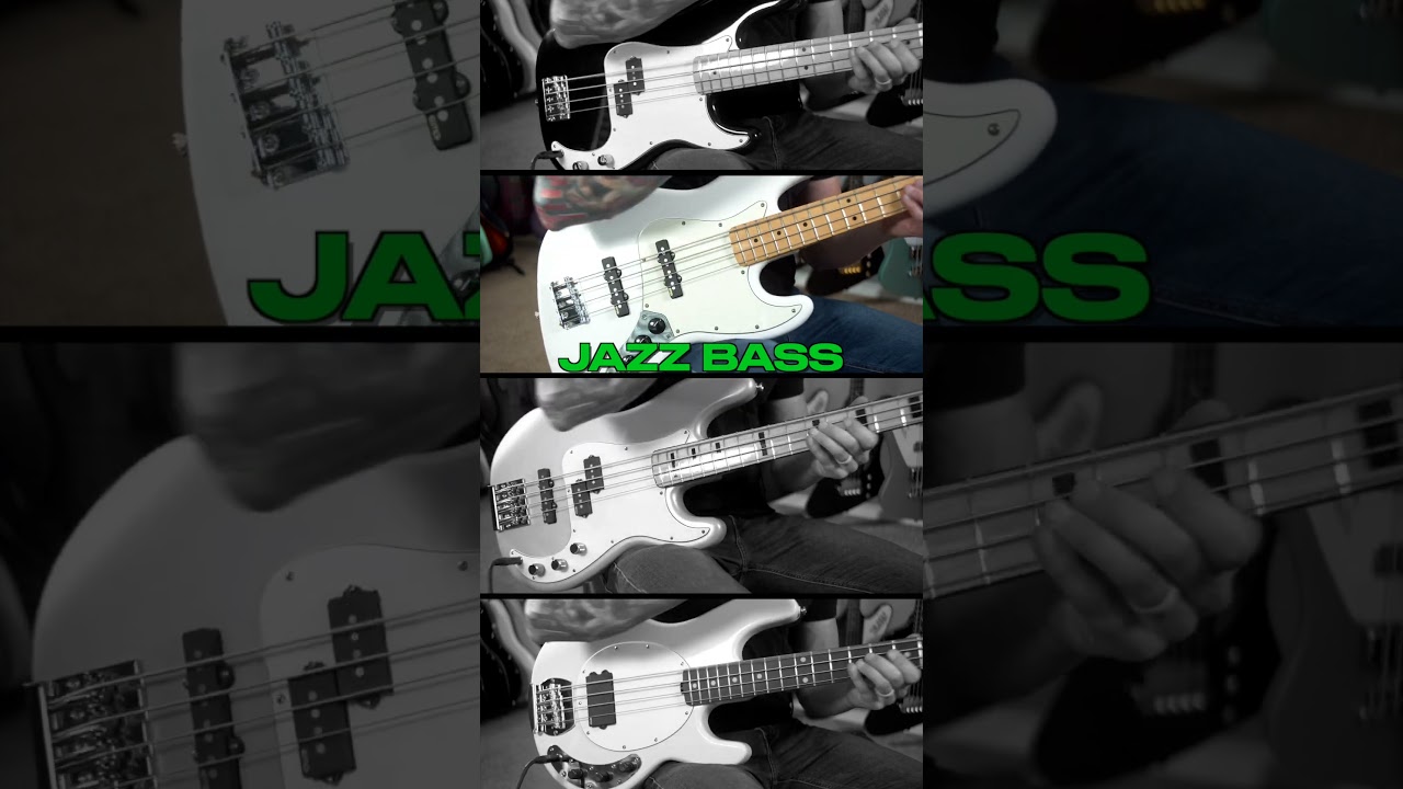 YouTube에서 Which Bass is Best? 보기 YouTube에서 Which Bass is Best? 보기