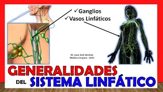 🥇 LYMPHATIC SYSTEM in 18 Minutes!! GENERALITIES. Easy and simple!