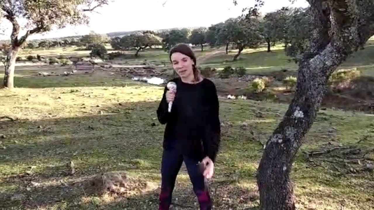 La importancia de la Educación Física en el Medio Ambiente