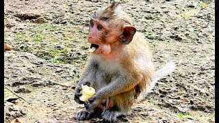 Slow Down Boy Polino Hungry Much,Eating Banana So Fast Till Choking,