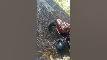 rc crawler fj45 custom lcg