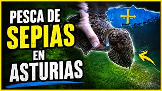 Pesca de sepias en Asturias 🦑🦑(no todo sale bien...)