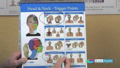 Flip Chart   Comercial   TrP Coding   Web