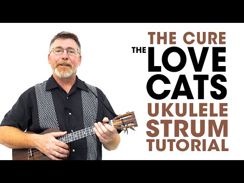 Do Cats Like Ukulele